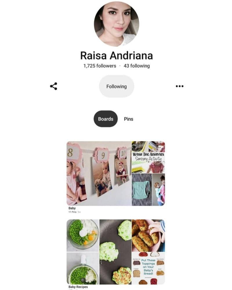 Pinterest.com/raisa6690
