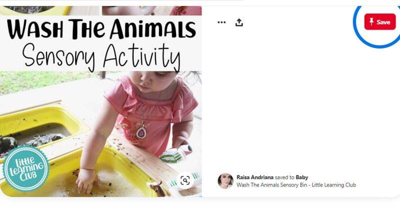 Pinterest.com/raisa6690