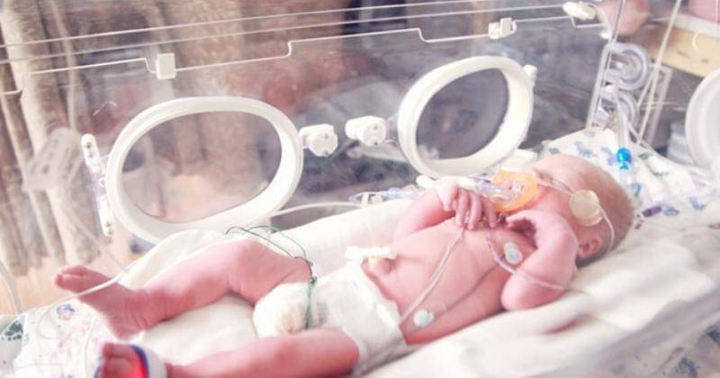 Unsplash/SharonMcCutcheon