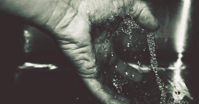 Pexels/George Becker