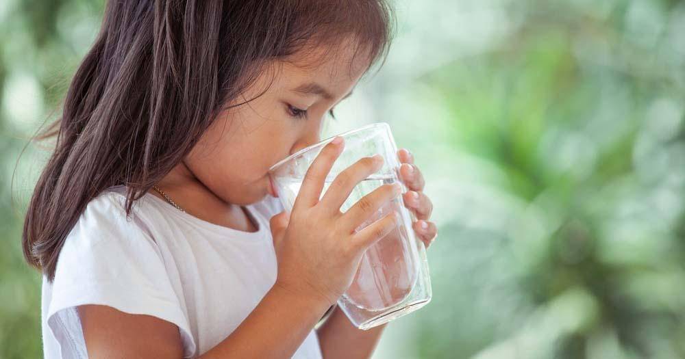 sofreshwidebay.com.au