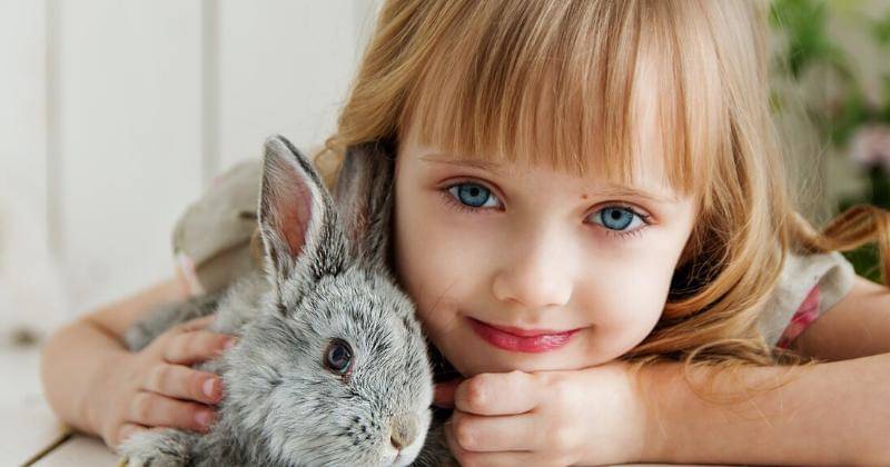 Pexel/Anastasiyagepp