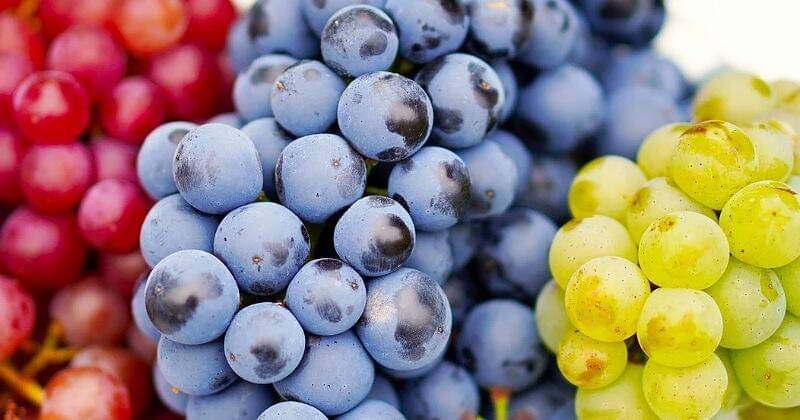 Pixabay/matthiasboeckel 