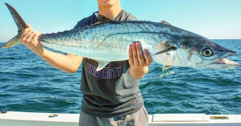 coastalanglermag.com