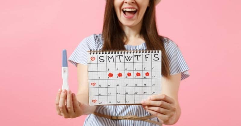 Shutterstock/ViDI Studio