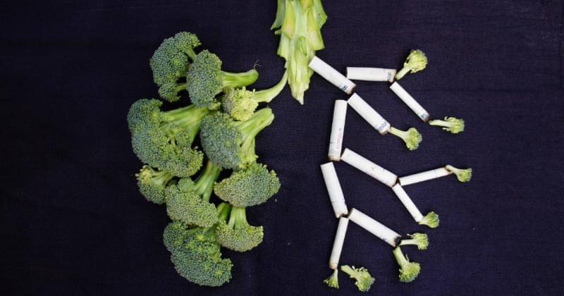 Unsplash/Sara Bakhshi