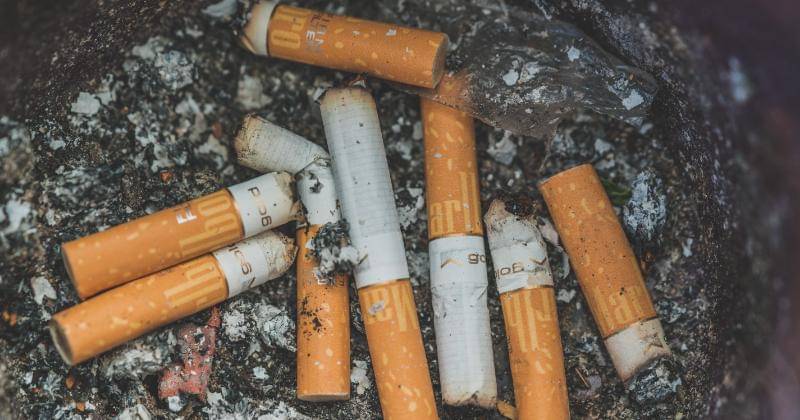 Unsplash/Patrick Brinksma