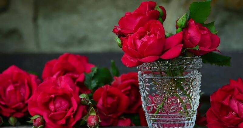 Pixabay/congerdesign 