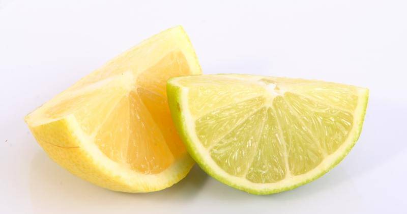 Unsplash/Shaun Meintjes