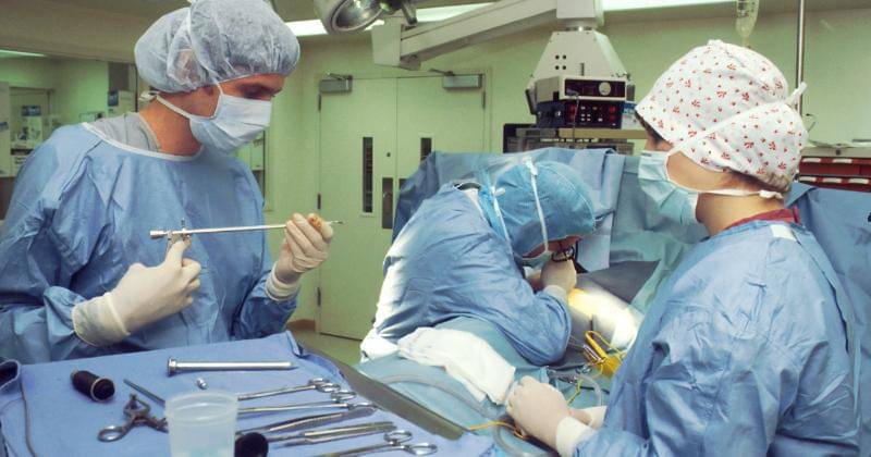 Unsplash/National Cancer Institute