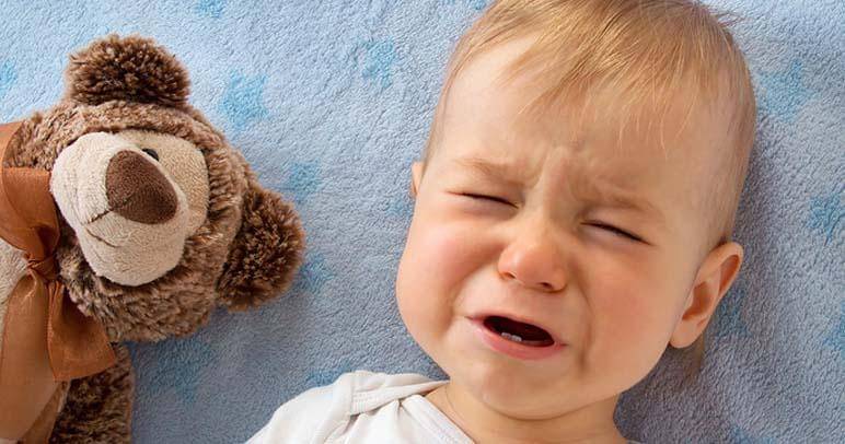 fitbottomedgirls.com