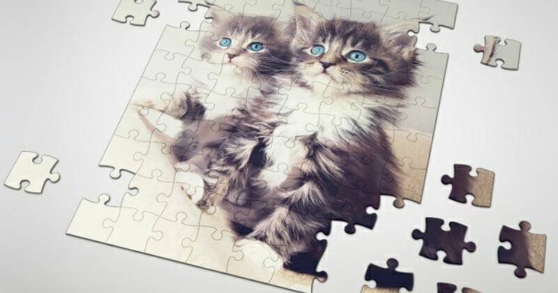 Freepik/zlatko_plamenov