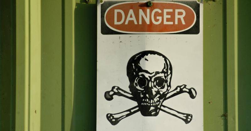 Unsplash/Matthew T Rader