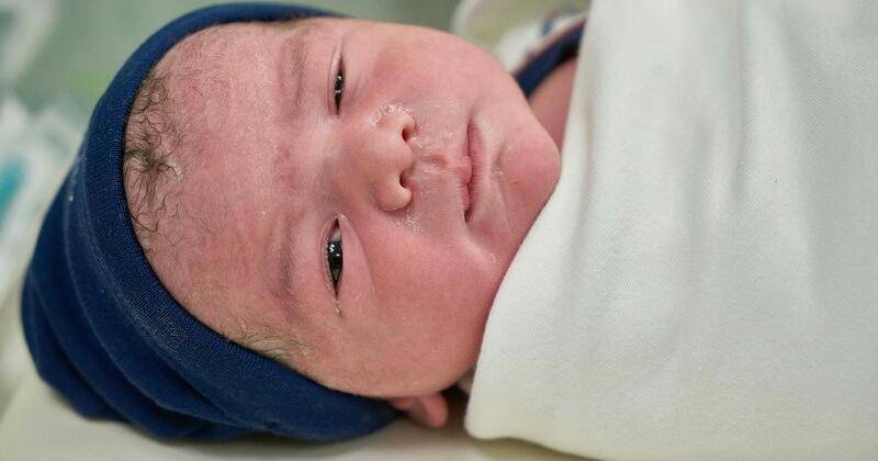 Pixabay/Engin_Akyurt