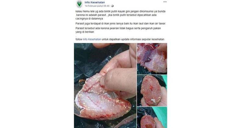 Facebook.com/InfoKesehatan