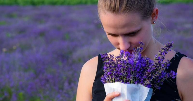 Unsplash/Richárd Ecsedi