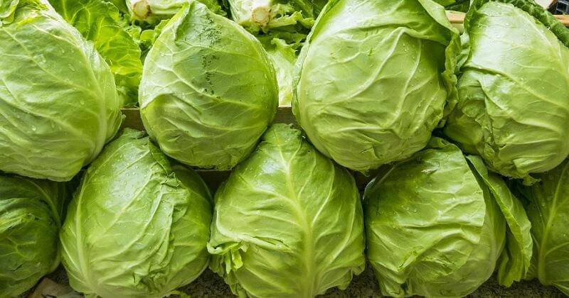 Pixabay/Fotoworkshop4You