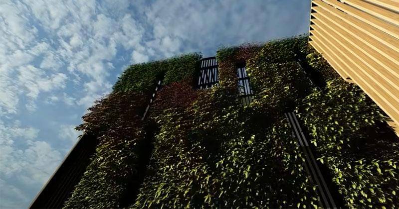 Youtube.com/Arief Muhammad