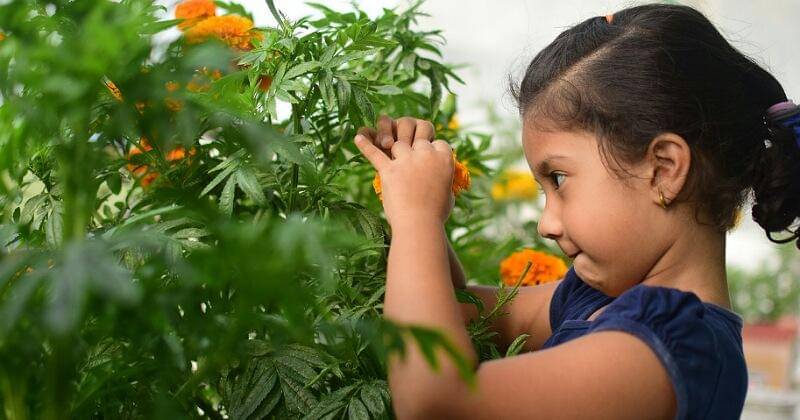 Pixabay/yohoprashant