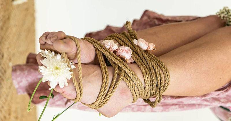 Instagram.com/thevropes