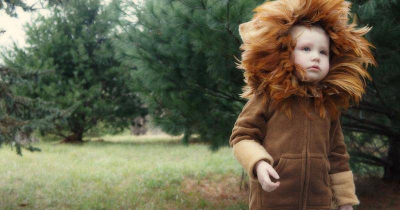 Pinterest.com/Renee Swan