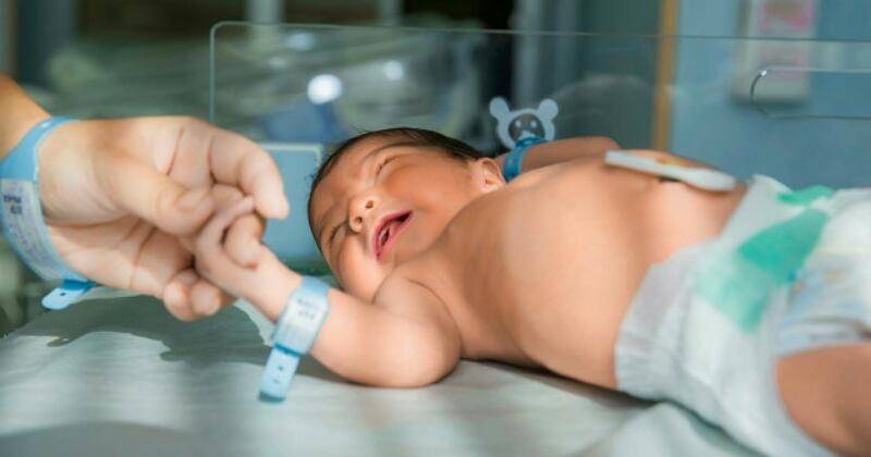 Freepik/KamranAydinov 