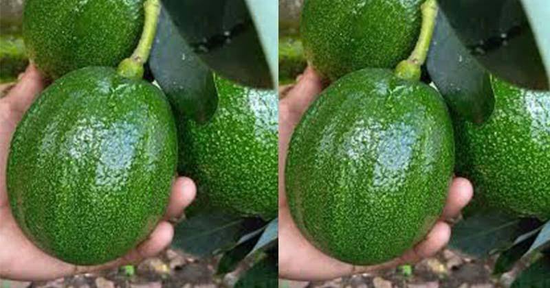 googleusercontent.com