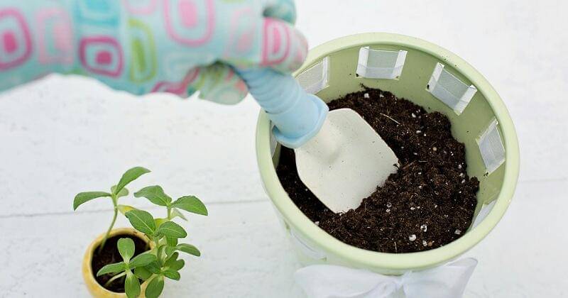 Pixabay/JillWellington