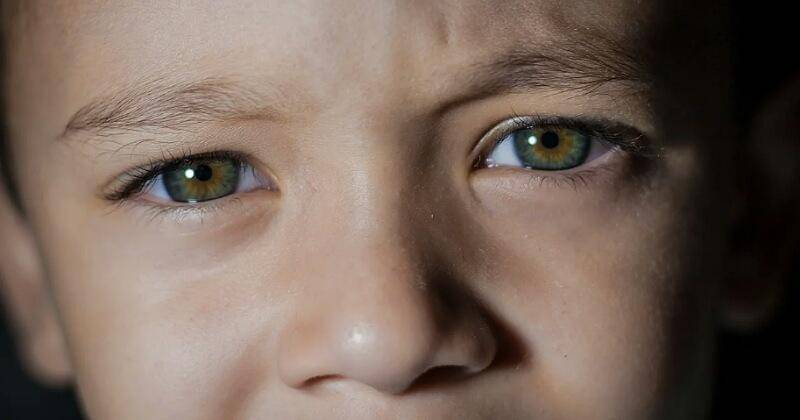 Pixabay/VitorGarcia029