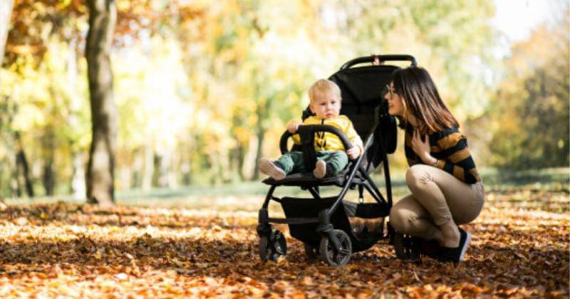 Freepik.com/senivpetro