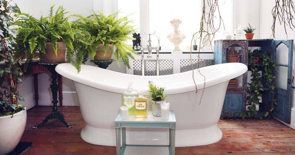 thejoyofplants.co.uk