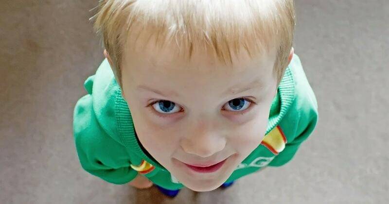 Pixabay/PublicDomainPictures / 17907 foto