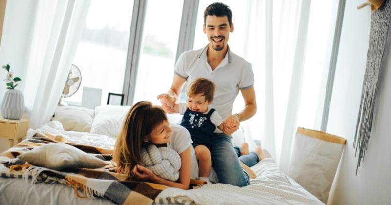 Shutterstock/Art Studio