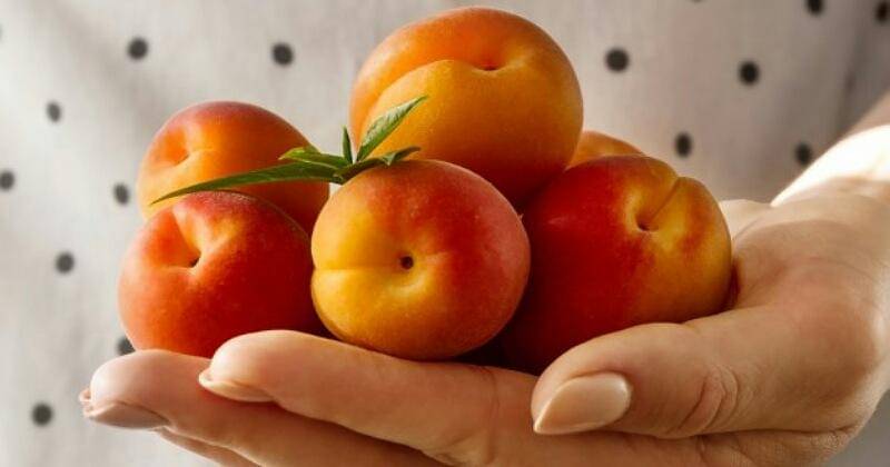 Freepik/valeria_aksakova