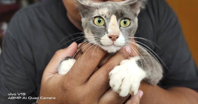 This article supported by vivo as Official Journalist Smartphone Partner IDN Media - Popmama/Onic Metheany