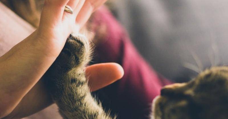 Unsplash/Jonan Vincent