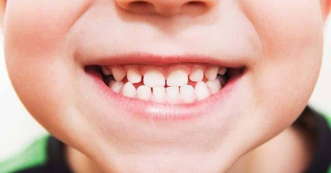 piedmontlifestyle.com