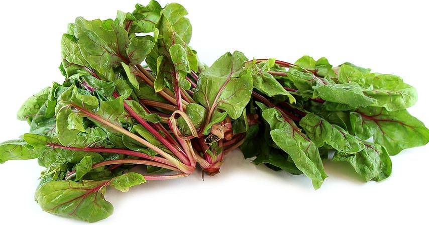 specialtyproduce.com