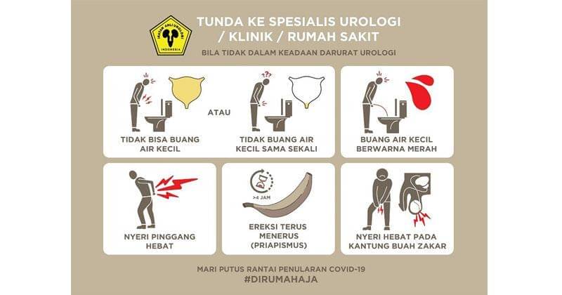 Dok. Ikatan Ahli Urologi Indonesia