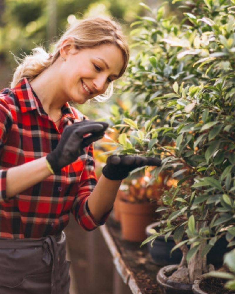 Freepik.com/Senivpetro