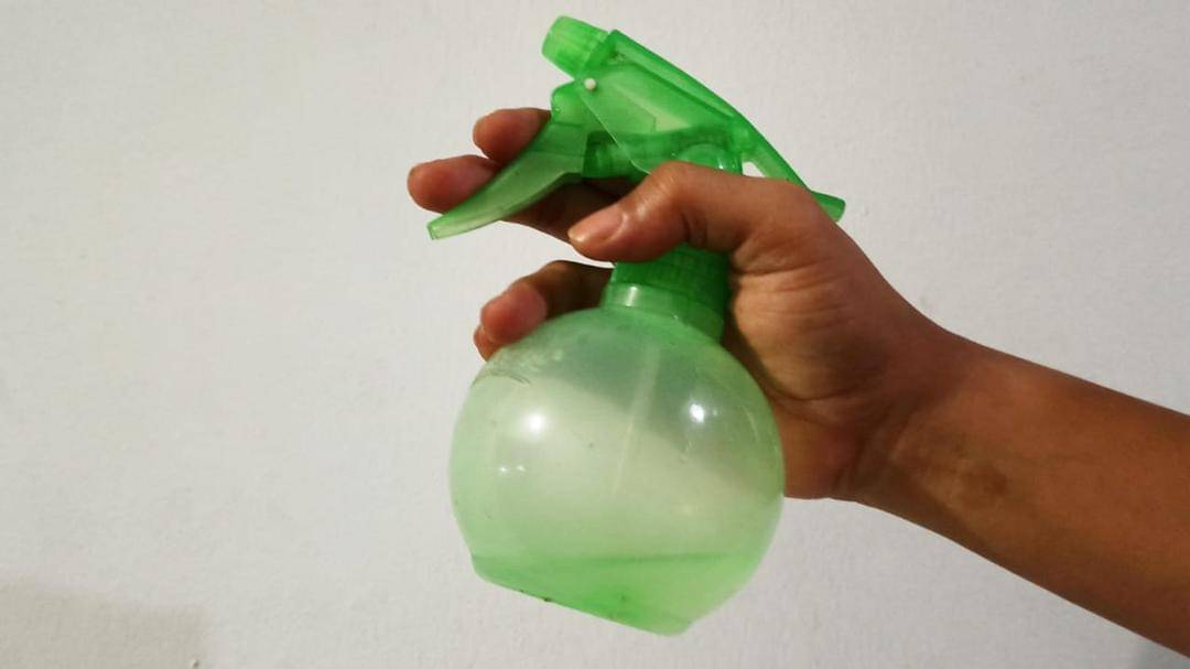 Popmama.com/Novy Agrina