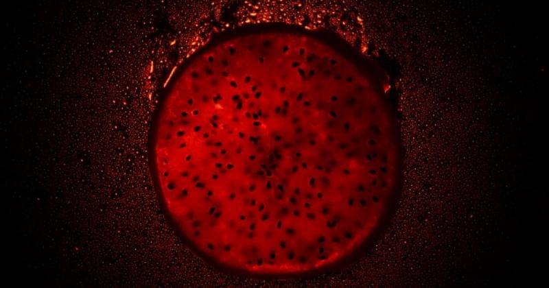 Freepik.com/Onlyyouqj