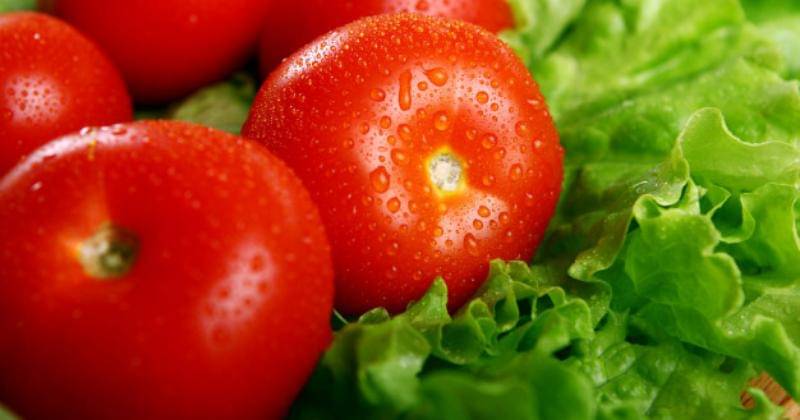 Freepik/racool_studio