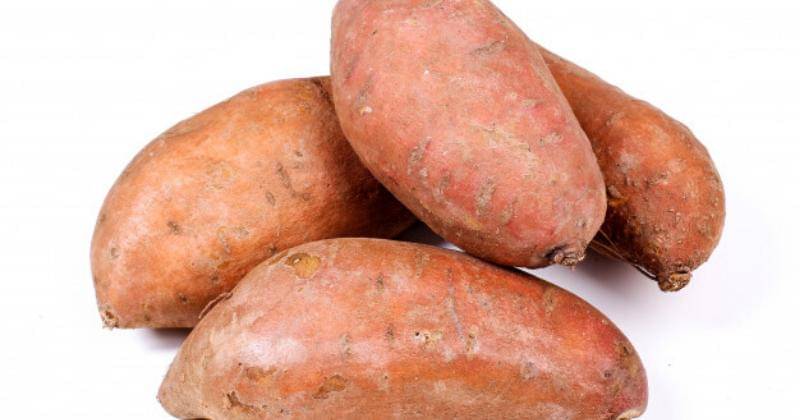 Freepik/racool_studio