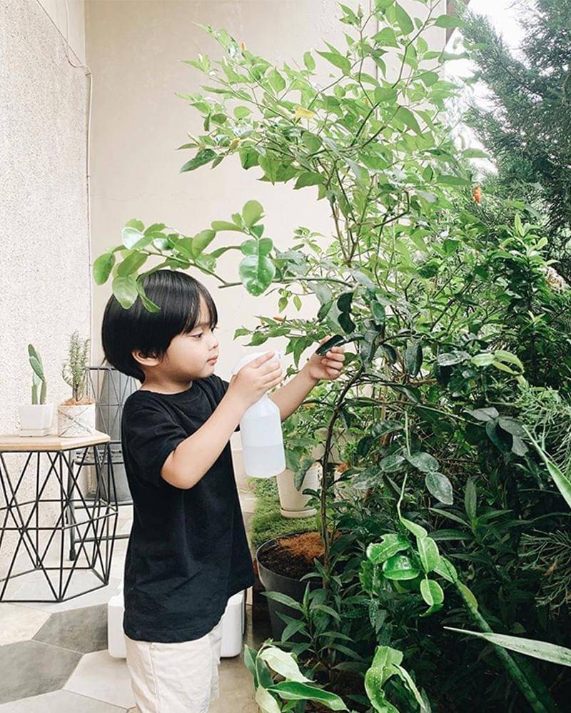 Instagram.com/dittopercussion 