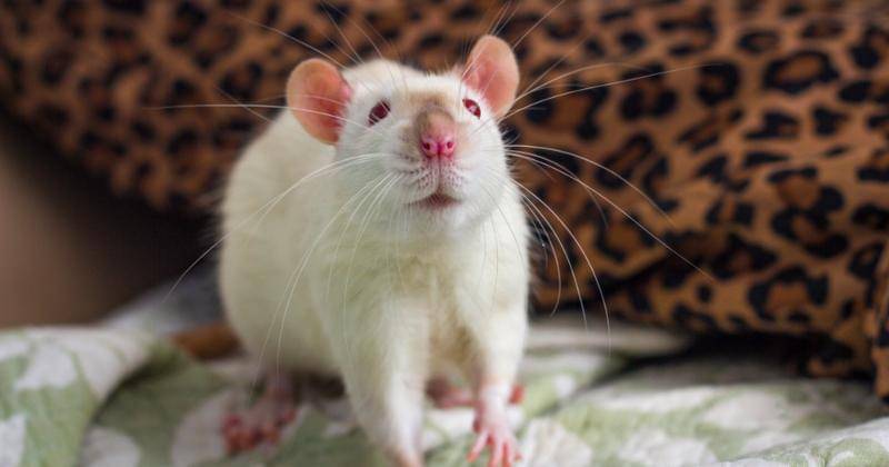 Shutterstock/Ezume Images
- Shutterstock/Ezume Images