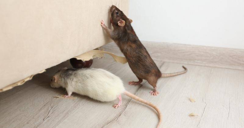 Shutterstock/New Africa
- Shutterstock/New Africa