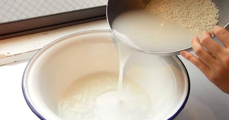 playfulbeautiful.com