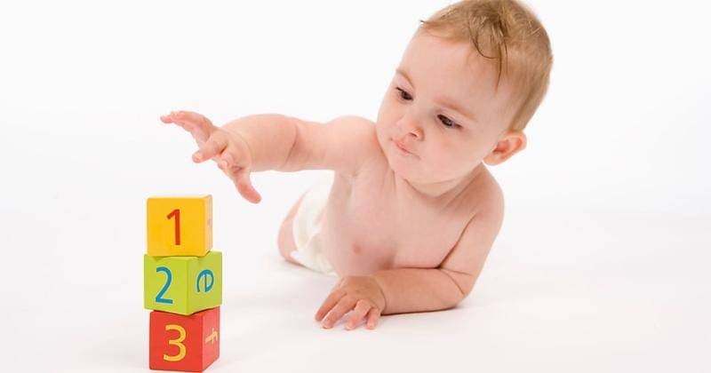 scientistfactory.com