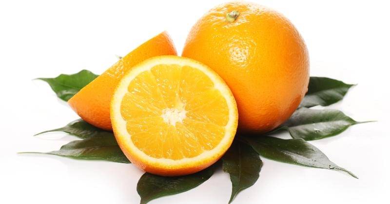 Freepik/Racool_studio